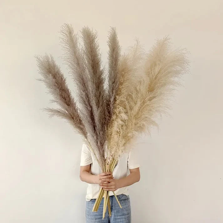 Die NatureLeganz Kollektion – Böhmische Pampasgras Deko