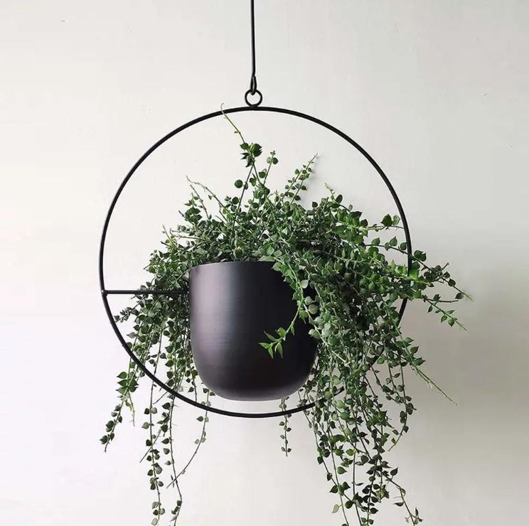 Die NordikHanging Kollektion – Minimalistische skandinavische Wand- & Deckenpflanzgefäße