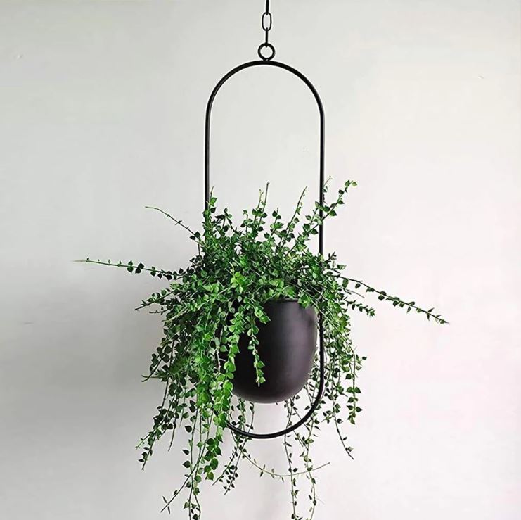 Die NordikHanging Kollektion – Minimalistische skandinavische Wand- & Deckenpflanzgefäße