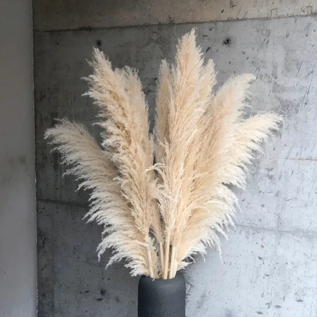 Die NatureLeganz Kollektion – Böhmische Pampasgras Deko
