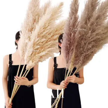 Die NatureLeganz Kollektion – Böhmische Pampasgras Deko