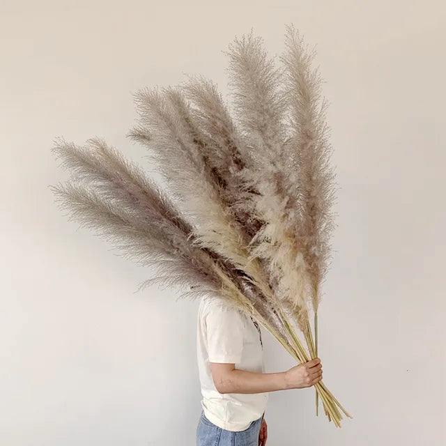 Die NatureLeganz Kollektion – Böhmische Pampasgras Deko